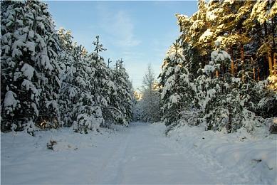 微软一款“备受好评”第一方或将今年登陆其他平台
