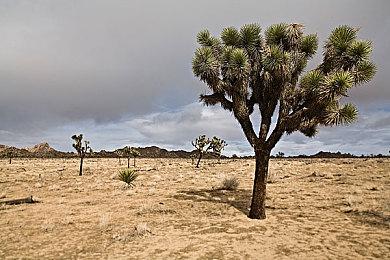 结合电影级单人游戏剧情与魔法第一人称射击战斗的《不朽者传奇》登场 